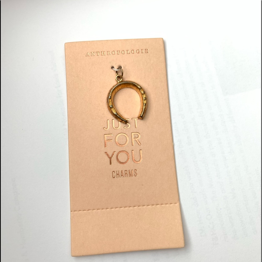 CHARM LG HORSESHOE